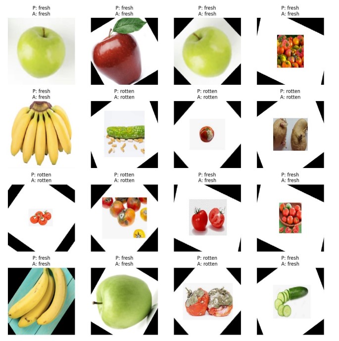 Detection of Spoiled Food in Agriculture
